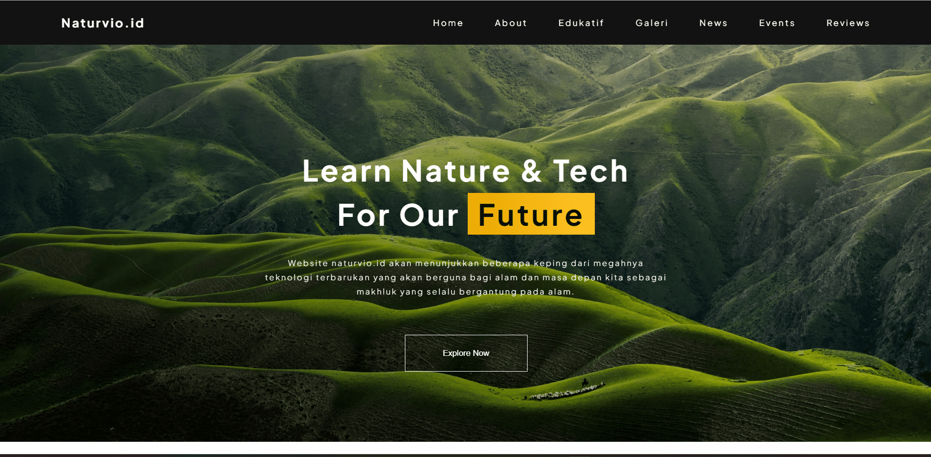 Naturvio Project